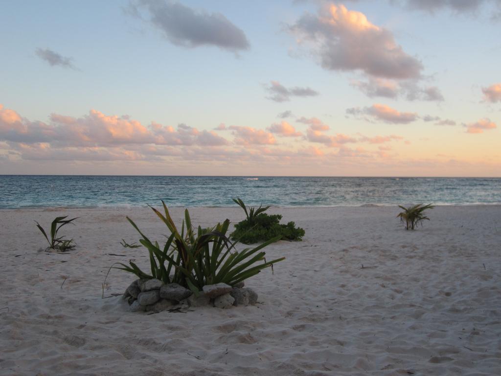 Appart Depa Center Hotel Playa del Carmen Phòng bức ảnh